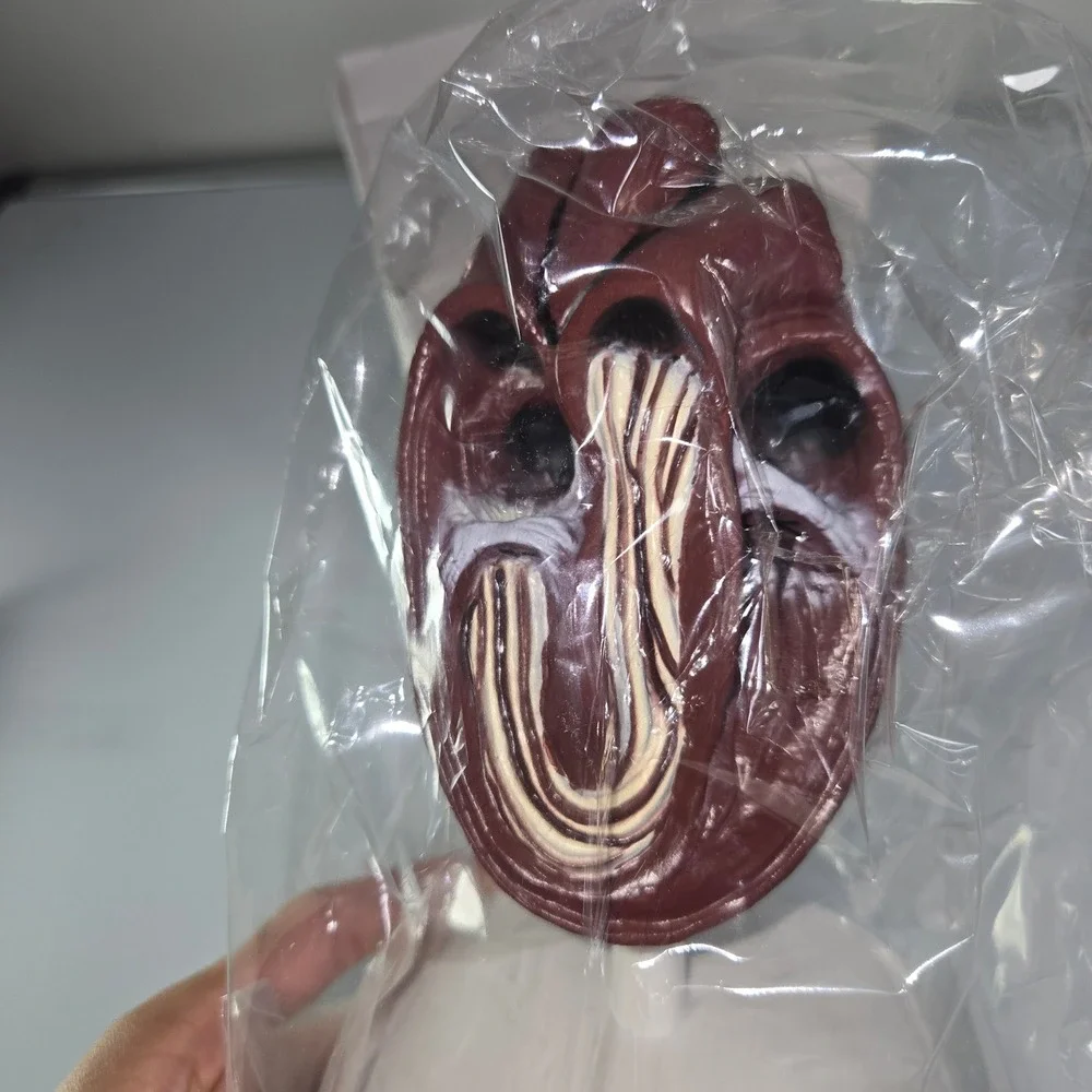 Banfield Heart Model Anatomical Model with Labels Veterinary Dog‎ Cat